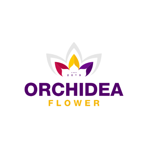 Orchidea